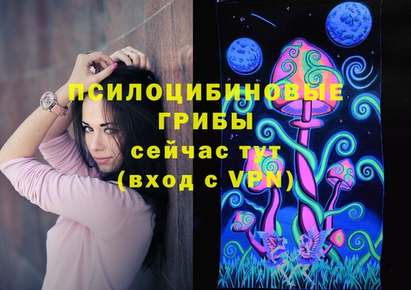 скорость Козловка